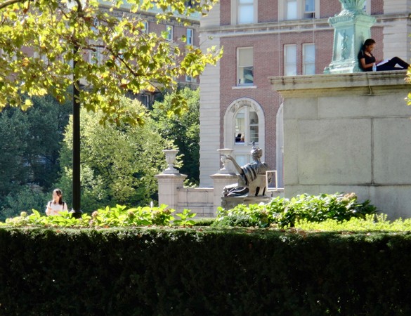 A student studies, leaning against a column of Low Library, Columbia University. The back of the Alma Mater statue can be seen in the center.