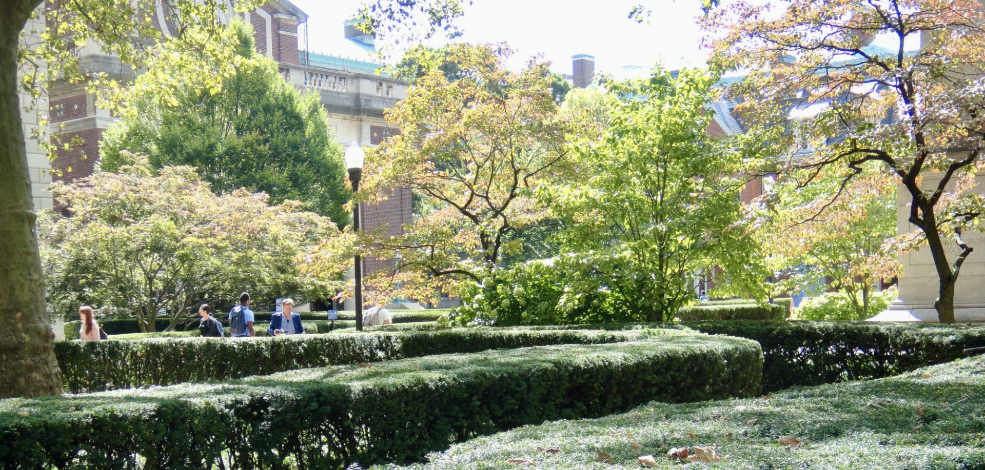 View of Columbia campus from Low Library